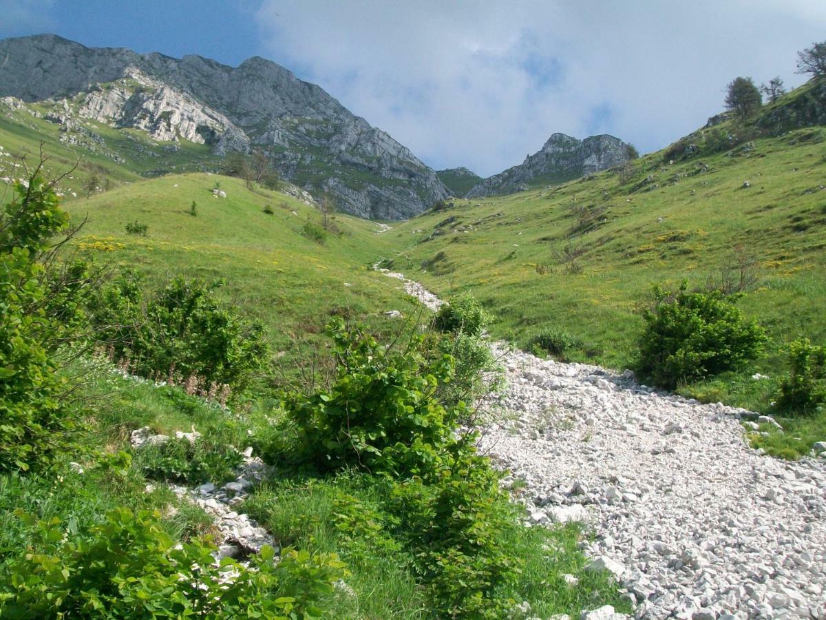 B&B In Fattoria Frisanco Екстер'єр фото