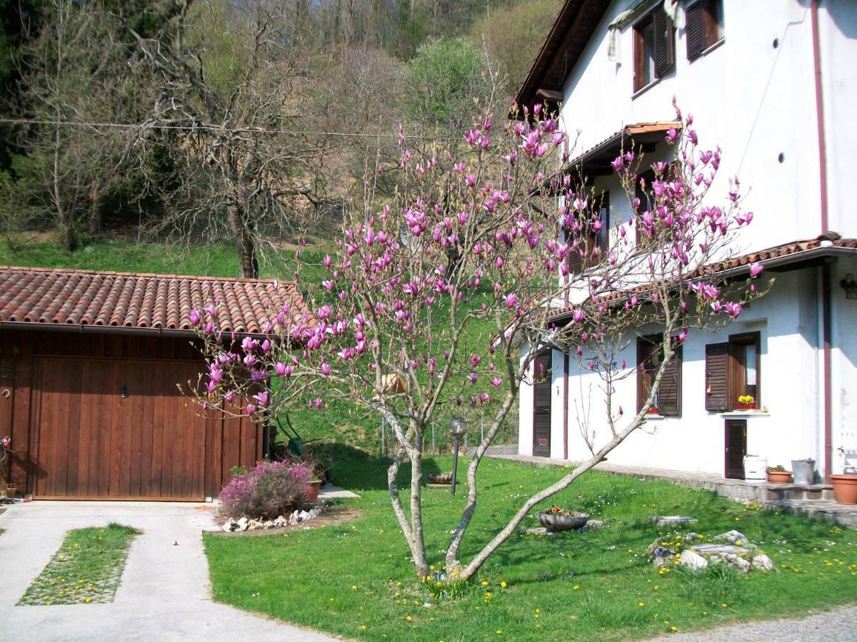 B&B In Fattoria Frisanco Екстер'єр фото