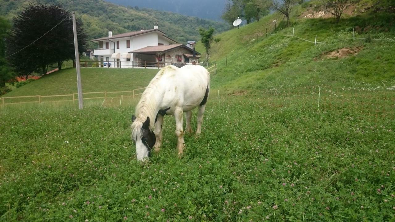 B&B In Fattoria Frisanco Екстер'єр фото