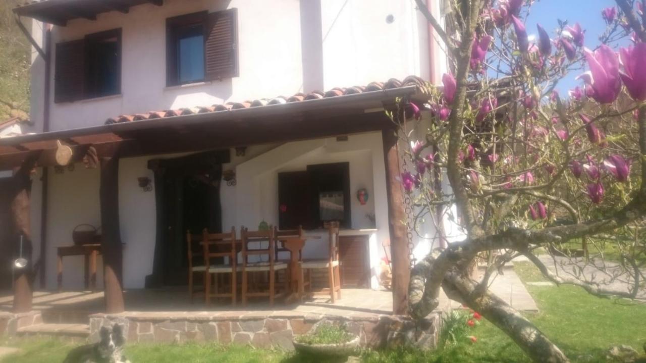 B&B In Fattoria Frisanco Екстер'єр фото